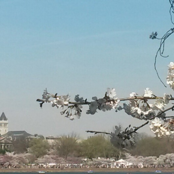 Meet your Posher, Kelly - Picture 1 of 1